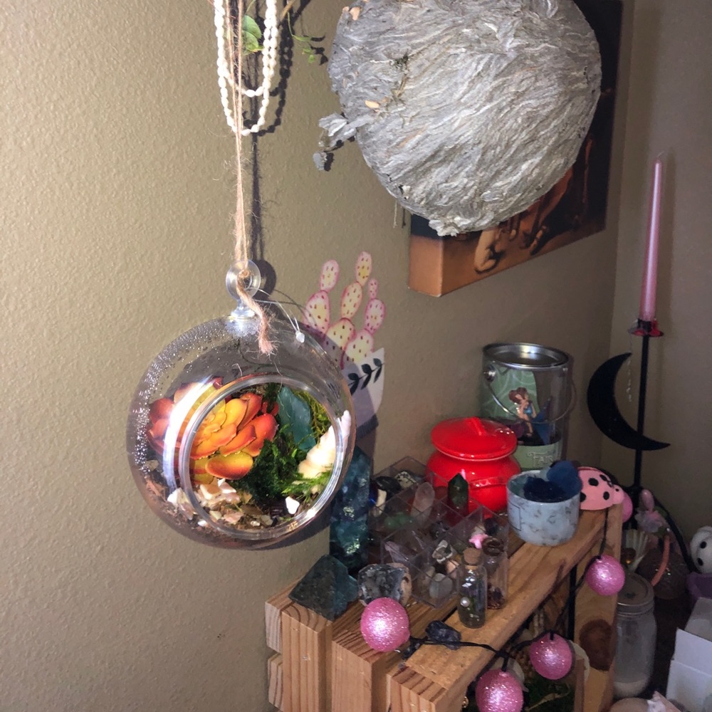 Hanging terrarium